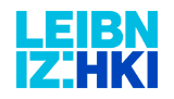 Leibniz-Institut für Naturstoff-Forschung und Infektionsbiologie e. V. – Hans-Knöll-Institut (HKI)