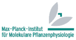 The Max-Planck-Institute of Molecular Plant Physiology
