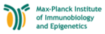 Max-Planck-Institut für Immunbiologie und Epigenetik