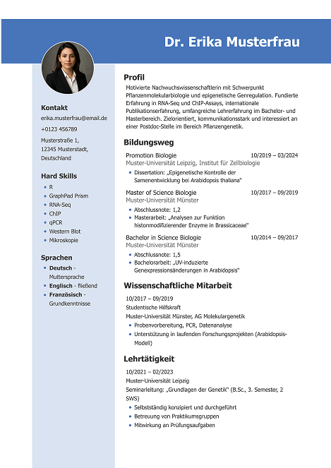 Academic CV Template