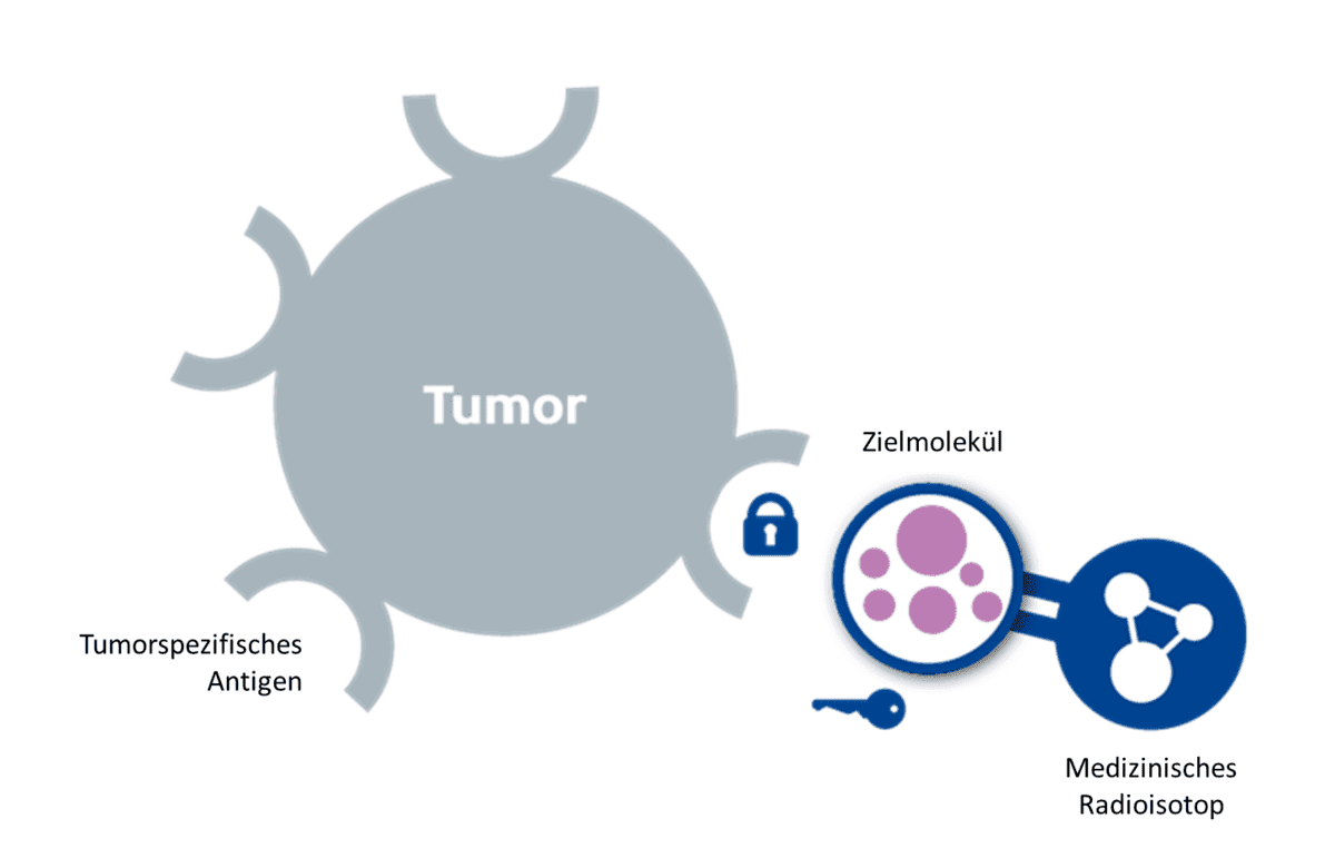 Einblicke ins Unternehmen