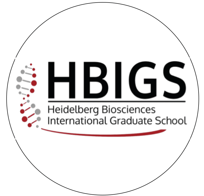 Heidelberg Biosciences International Graduate School HBIGS