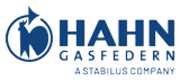 HAHN Gasfedern GmbH