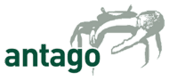 Antago GmbH Antago GmbH