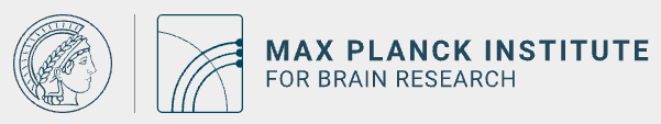 Max-Planck-Institut für Hirnforschung