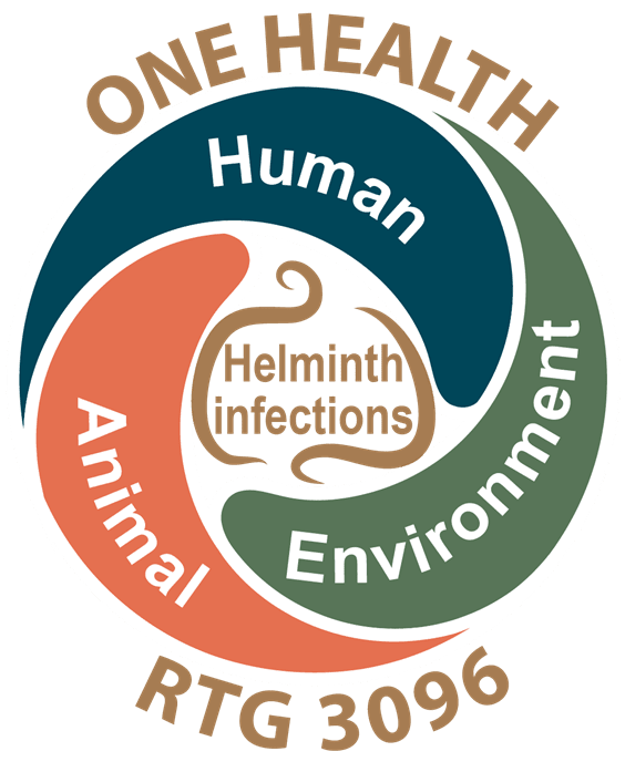 Freie Universität Berlin