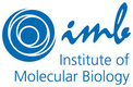 Institute of Molecular Biology gGmbH (IMB)