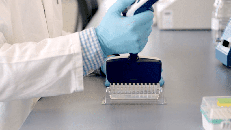 Einblicke ins Unternehmen