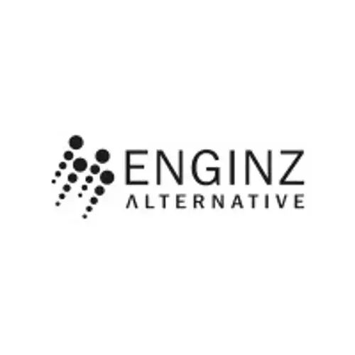 Enginz Alternative - Engineering, Consulting und Management GmbH