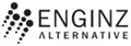 Enginz Alternative - Engineering, Consulting und Management GmbH
