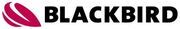Blackbird Robotersysteme GmbH