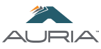 Auria Solutions GmbH