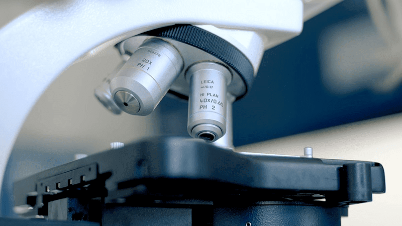 Einblicke ins Unternehmen