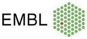 European Molecular Biology Laboratory (EMBL)