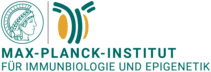 Max-Planck-Institut für Immunbiologie und Epigenetik