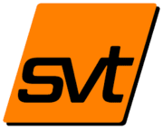 svt Holding GmbH