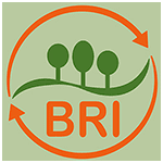 BRI Bodenrecycling Insingen GmbH & Co. KG