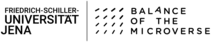 Friedrich-Schiller-Universität Jena, Exzellenzcluster "Balance of the Microverse"