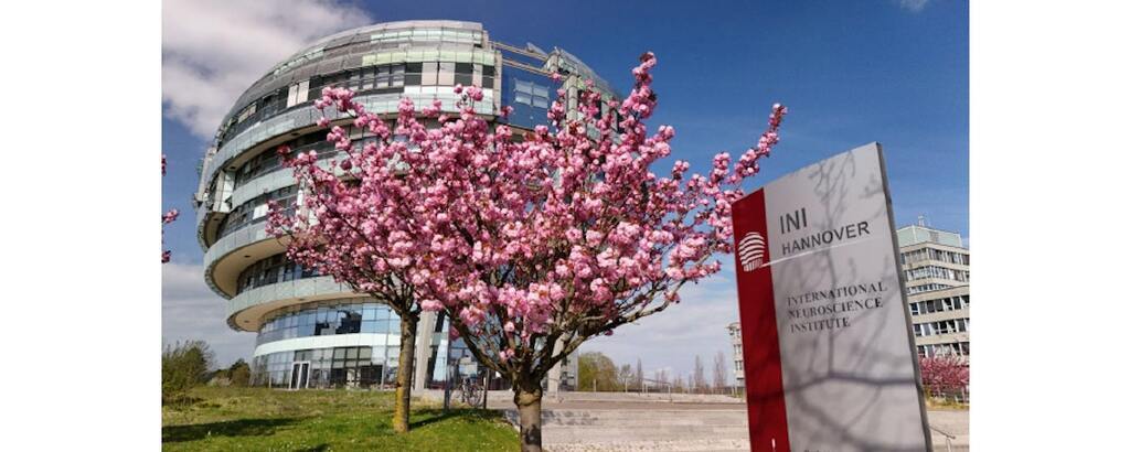 Headerbild INI – International Neuroscience Institute® Hannover GmbH