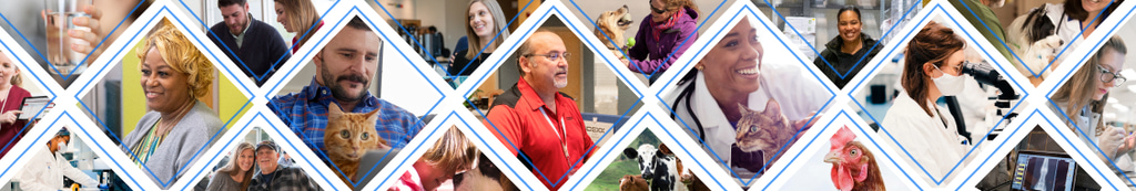 Headerbild Vet Med Labor GmbH