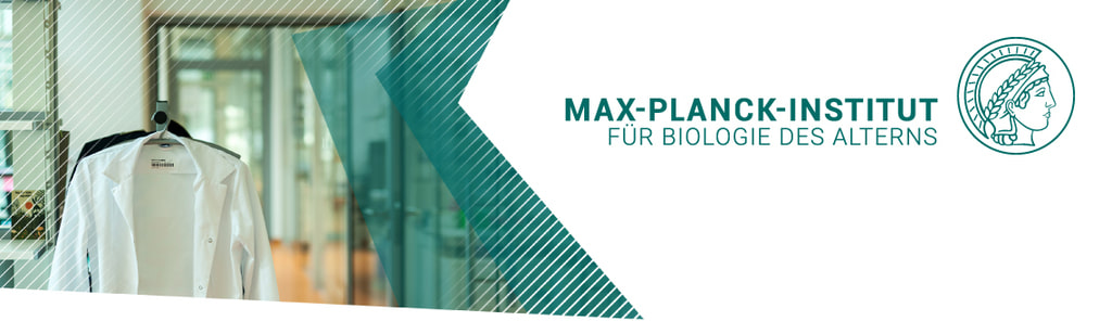 Headerbild Max-Planck-Institut für Biologie des Alterns