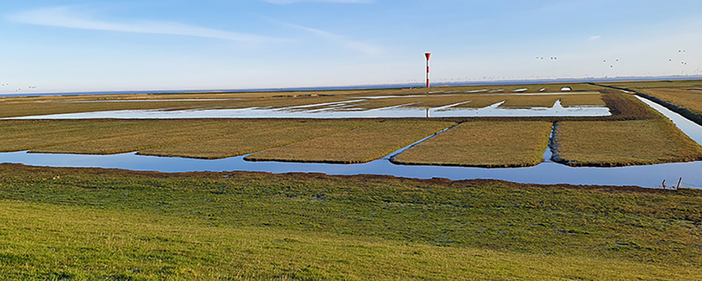 Headerbild Deutsche Bundesstiftung Umwelt