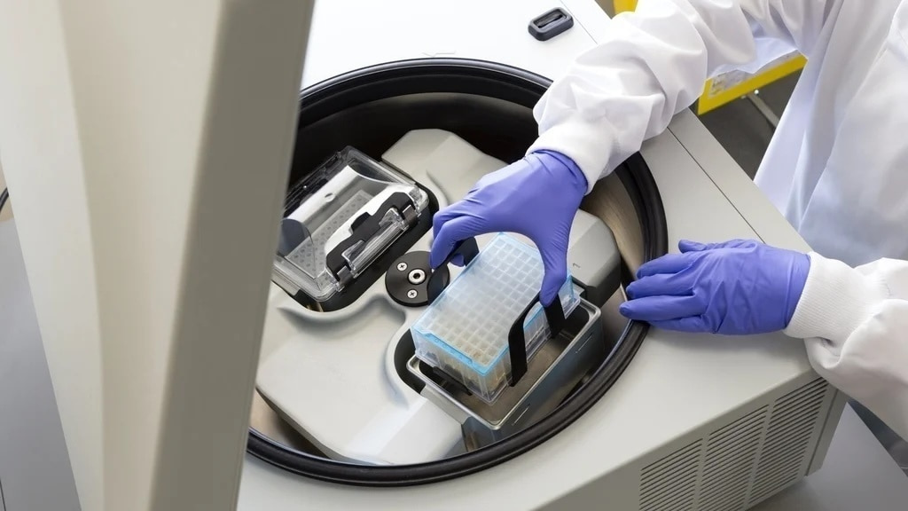 Headerbild GENEWIZ Germany GmbH