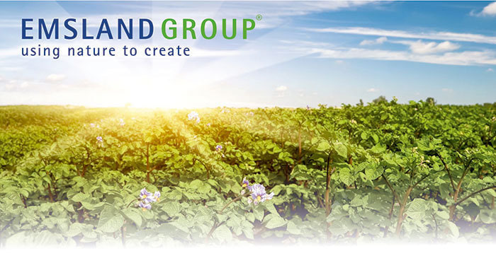 Header image Emsland Group