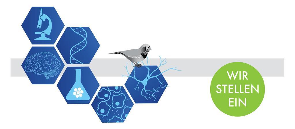 Headerbild Max-Planck-Institut für biologische Intelligenz