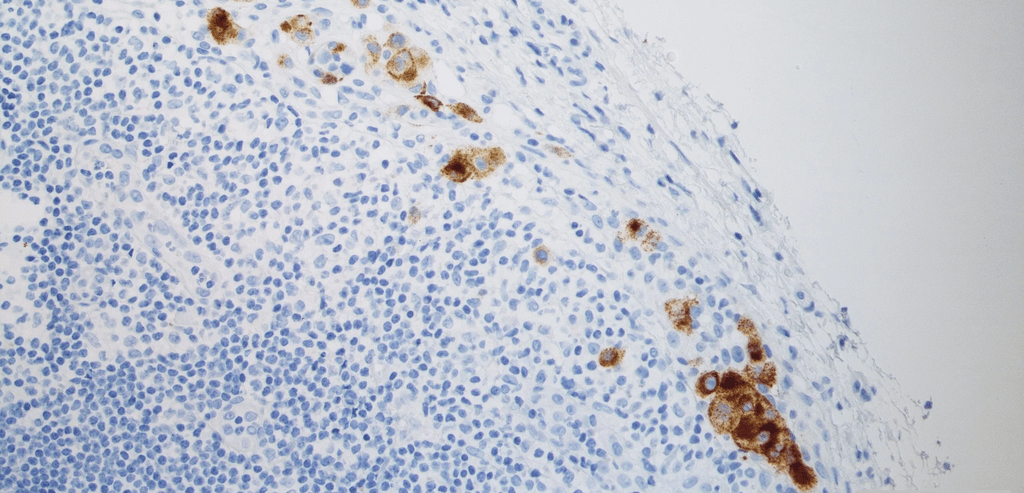 Headerbild Universität Regensburg