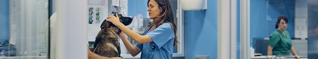 Headerbild Tierarzt Plus GmbH