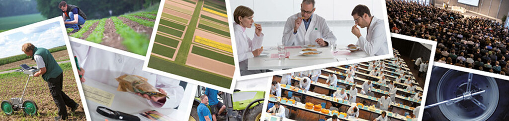 Headerbild DLG e. V.