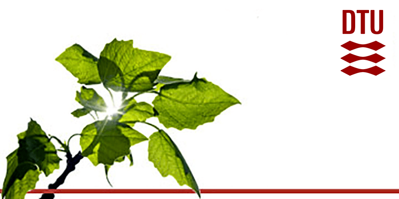 Headerbild Technical University of Denmark (DTU)