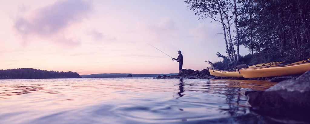 Headerbild AlphaInsights GmbH