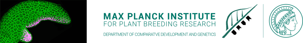 Headerbild Max-Planck-Institut für Pflanzenzüchtungsforschung