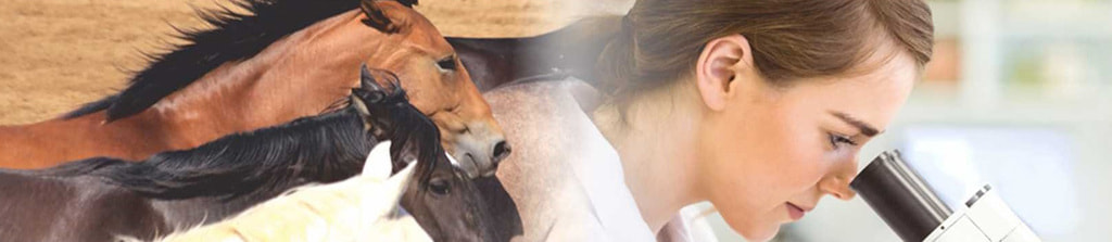 Headerbild Labor Dr. Böse GmbH