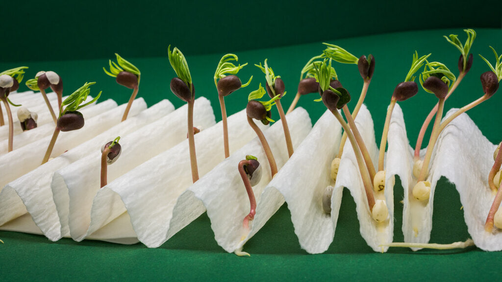 Headerbild Staatliche Betriebsgesellschaft für Umwelt und Landwirtschaft