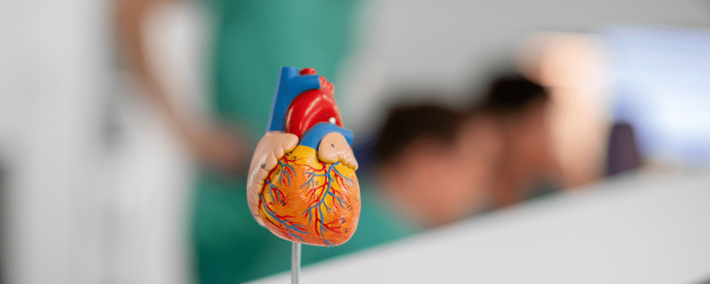 Headerbild TUM Klinikum Deutsches Herzzentrum