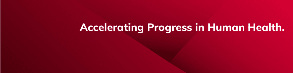 Headerbild Alcedis GmbH