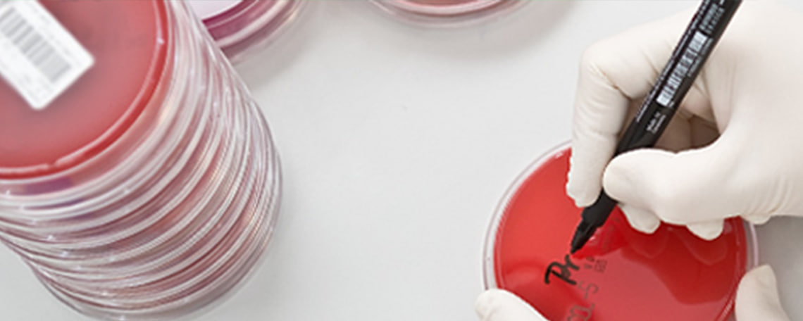 Headerbild Labor Berlin - Charité Vivantes GmbH