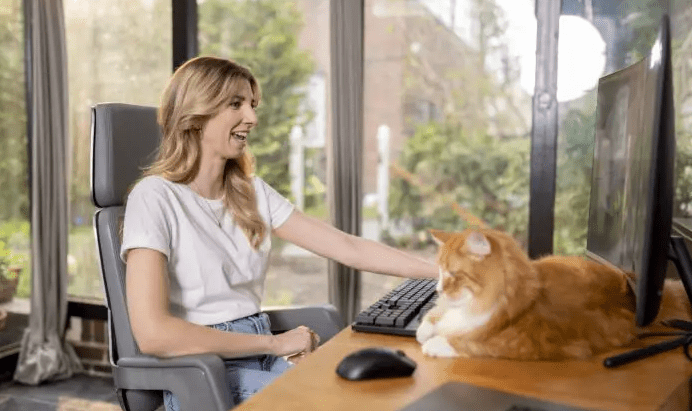 Headerbild IU Internationale Hochschule