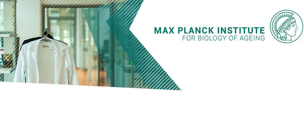Headerbild Max-Planck-Institut für Biologie des Alterns