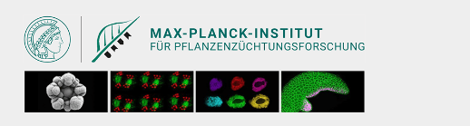 Header image Max-Planck-Institut für Pflanzenzüchtungsforschung