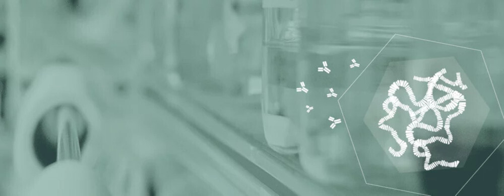 Headerbild Max-Planck-Institut für Immunbiologie und Epigenetik