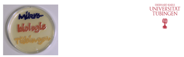 Headerbild Universität Tübingen