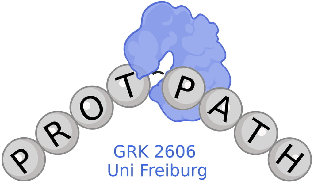 GRK ProtPath Universität Freiburg