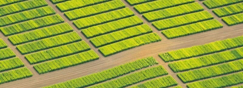 Headerbild NPZ Innovation GmbH