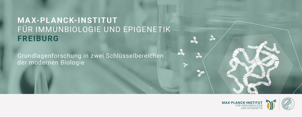 Headerbild Max-Planck-Institut für Immunbiologie und Epigenetik