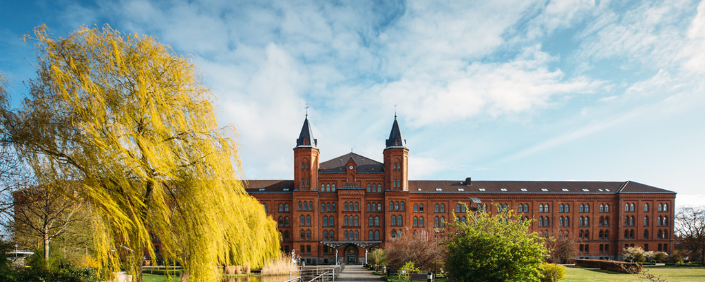 Headerbild Stadt Celle