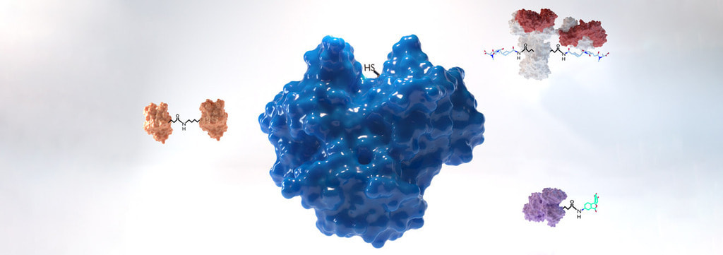 Headerbild Zedira GmbH